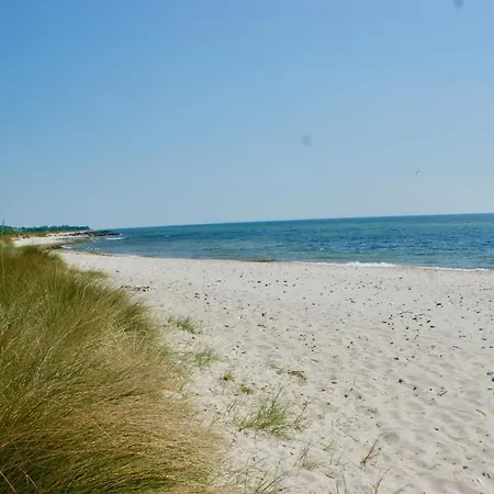 Fehmarn-ostseeferienpenthouse Vogelflug 14314